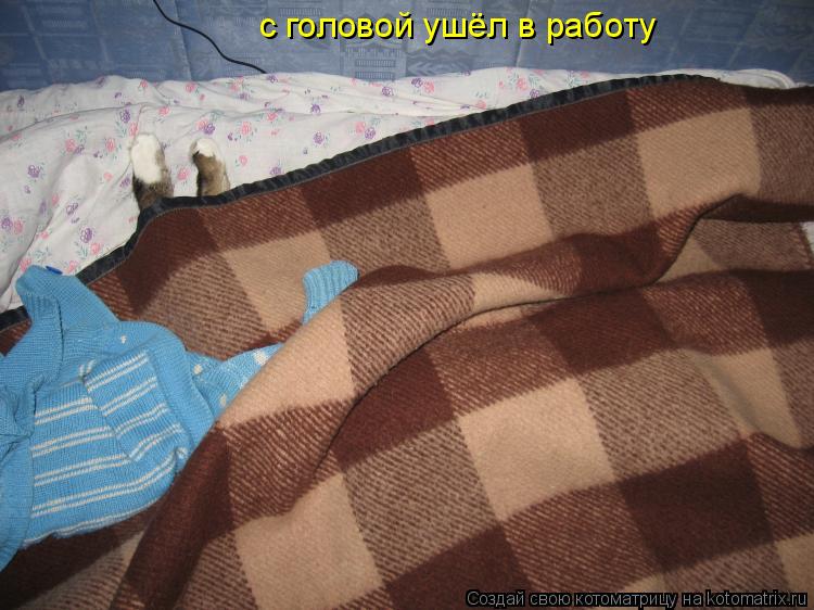 Котоматрица: с головой ушёл в работу