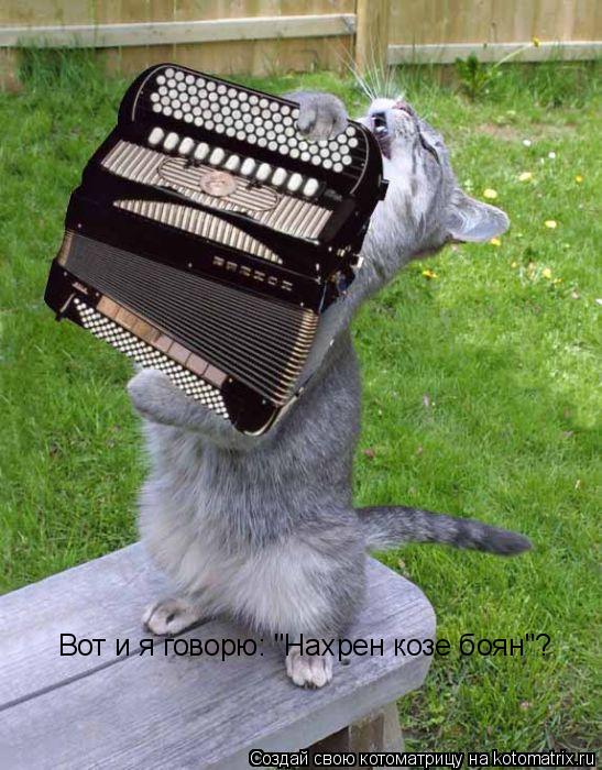 Вот и я говорю: "Нахрен козе боян"?... Котоматрица: Вот и я говорю: "Нахрен козе боян"?