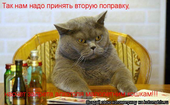 Так нам надо принять вторую поправку, насчет запрета алкоголя малолетним кошкам!!!... Котоматрица: Так нам надо принять вторую поправку, насчет запрета алкоголя малолетним кошкам!!!