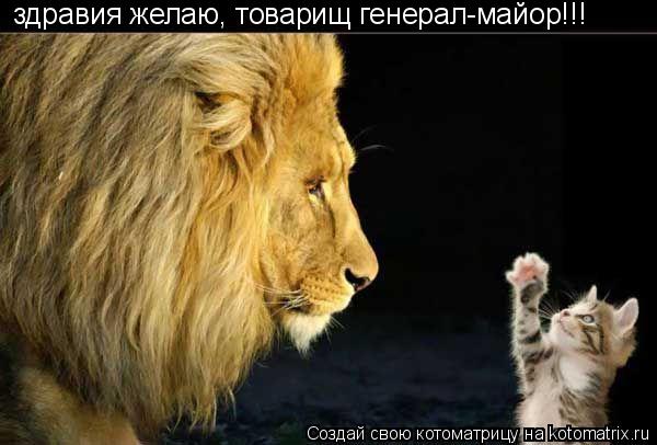 Котоматрица: здравия желаю, товарищ генерал-майор!!!