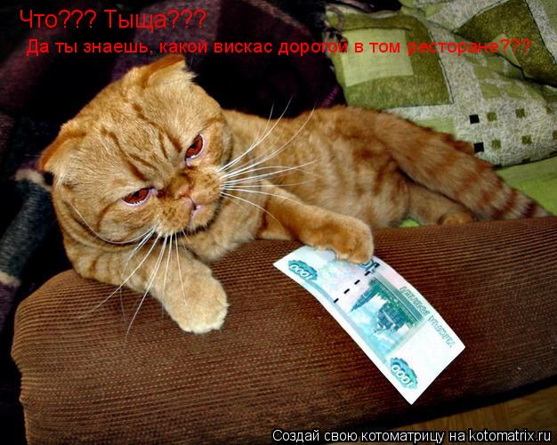 Что??? Тыща??? Да ты знаешь, какой вискас дорогой в том ресторане???... Котоматрица: Что??? Тыща??? Да ты знаешь, какой вискас дорогой в том ресторане???