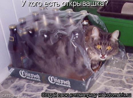 Котоматрица: У кого есть открывашка?