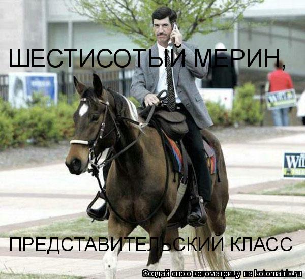Котоматрица: ШЕСТИСОТЫЙ МЕРИН,  ПРЕДСТАВИТЕЛЬСКИЙ КЛАСС