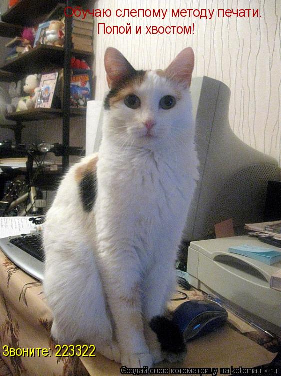 Обучаю слепому методу печати. Попой и хвостом! Звоните: 223322... Котоматрица: Обучаю слепому методу печати. Попой и хвостом! Звоните: 223322