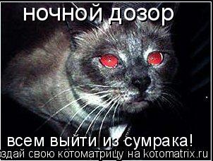 ночной дозор всем выйти из сумрака!... Котоматрица: ночной дозор всем выйти из сумрака!
