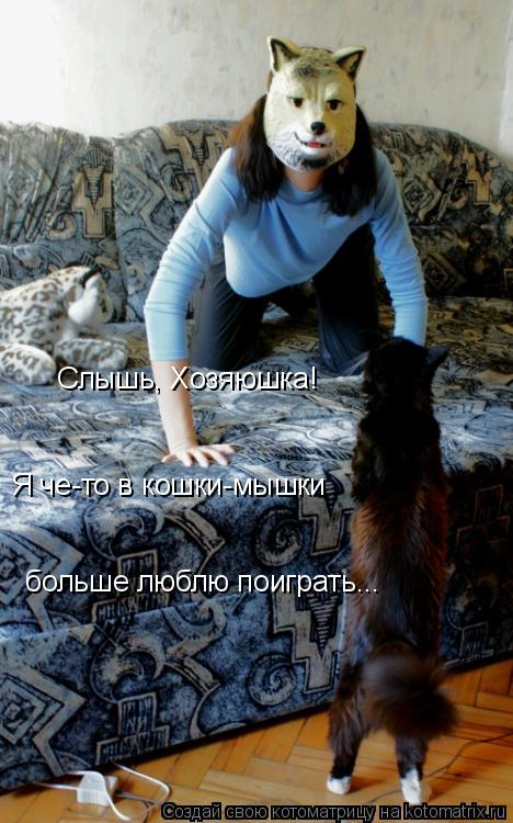 Слышь, Хозяюшка! Я че-то в кошки-мышки больше люблю поиграть...... Котоматрица: Слышь, Хозяюшка! Я че-то в кошки-мышки больше люблю поиграть...