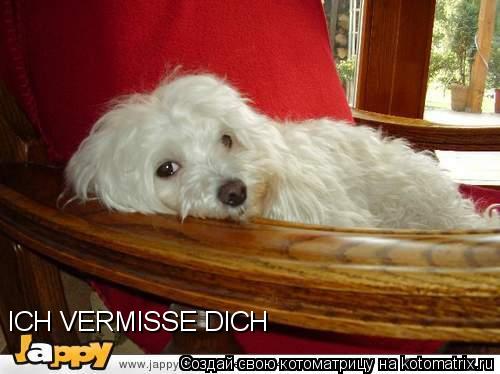 ICH VERMISSE DICH... Котоматрица: ICH VERMISSE DICH