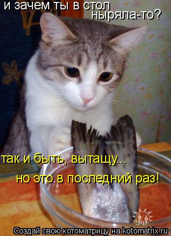 и зачем ты в стол ныряла-то? так и быть, вытащу... но это в последний раз!... Котоматрица: и зачем ты в стол ныряла-то? так и быть, вытащу... но это в последний раз!