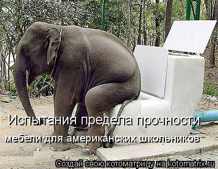 Испытания предела прочности мебели для американских школьников... Котоматрица: Испытания предела прочности мебели для американских школьников