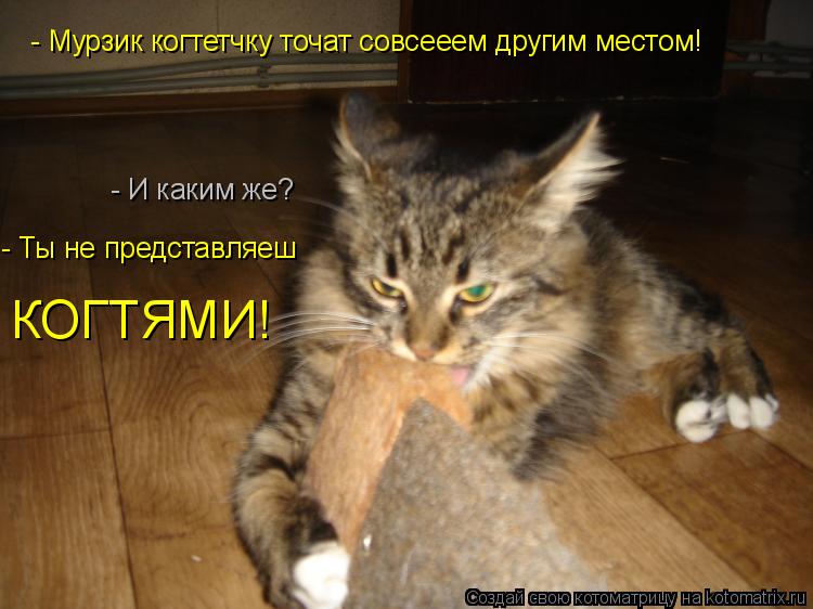 - Мурзик когтетчку точат совсееем другим местом! - И каким же? - Ты не представляеш КОГТЯМИ!... Котоматрица: - Мурзик когтетчку точат совсееем другим местом! - И каким же? - Ты не представляеш КОГТЯМИ!