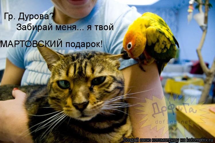 Гр. Дурова? Забирай меня... я твой МАРТОВСКИЙ подарок!... Котоматрица: Гр. Дурова? Забирай меня... я твой МАРТОВСКИЙ подарок!