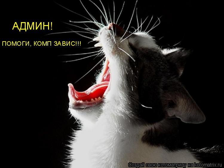 АДМИН! ПОМОГИ, КОМП ЗАВИС!!!... Котоматрица: АДМИН! ПОМОГИ, КОМП ЗАВИС!!!