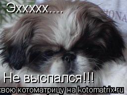 Эххххх.... Не выспался!!!... Котоматрица: Эххххх.... Не выспался!!!
