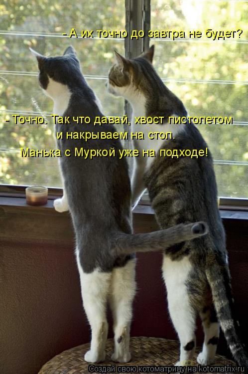 - А их точно до завтра не будет? - Точно. Так что давай, хвост пистолетом и накрываем на стол. Манька... Котоматрица: - А их точно до завтра не будет? - Точно. Так что давай, хвост пистолетом и накрываем на стол. Манька с Муркой уже на подходе!