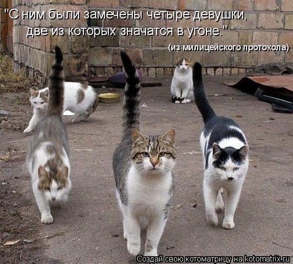 "С ним были замечены четыре девушки, две из которых значатся в угоне." (из милицейского протокола)... Котоматрица: "С ним были замечены четыре девушки, две из которых значатся в угоне." (из милицейского протокола)