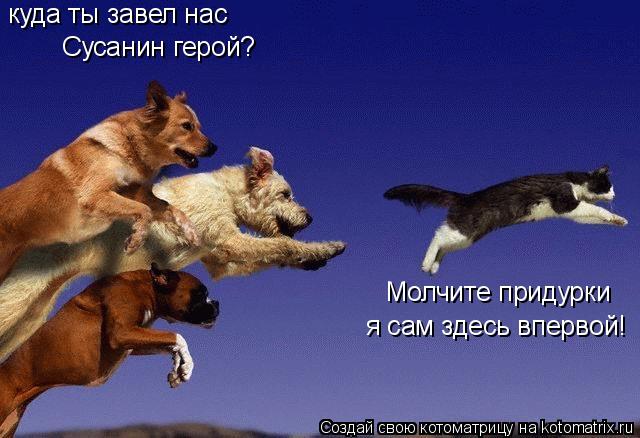 куда ты завел нас Сусанин герой? Молчите придурки я сам здесь впервой!... Котоматрица: куда ты завел нас Сусанин герой? Молчите придурки я сам здесь впервой!