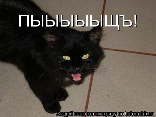 Котоматрица: ПЫЫЫЫЫЩЪ!