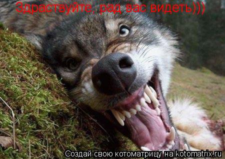 Котоматрица: Здраствуйте, рад вас видеть)))