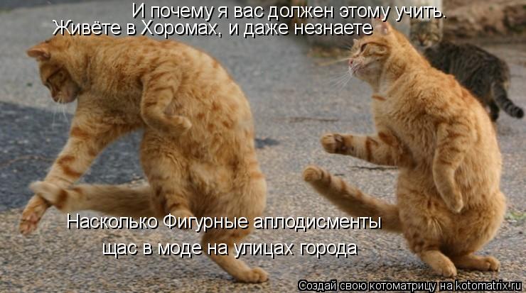 Котоматрица: И почему я вас должен этому учить. Живёте в Хоромах, и даже незнаете Насколько Фигурные аплодисменты  щас в моде на улицах города