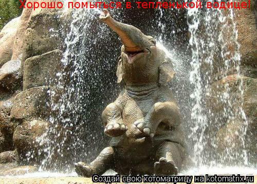 Котоматрица: Хорошо помыться в тепленькой водице!