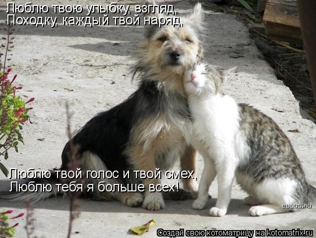 Люблю твою улыбку, взгляд, Походку, каждый твой наряд, Люблю твой голос и твой смех, Люблю тебя я бол... Котоматрица: Люблю твою улыбку, взгляд, Походку, каждый твой наряд, Люблю твой голос и твой смех, Люблю тебя я больше всех!