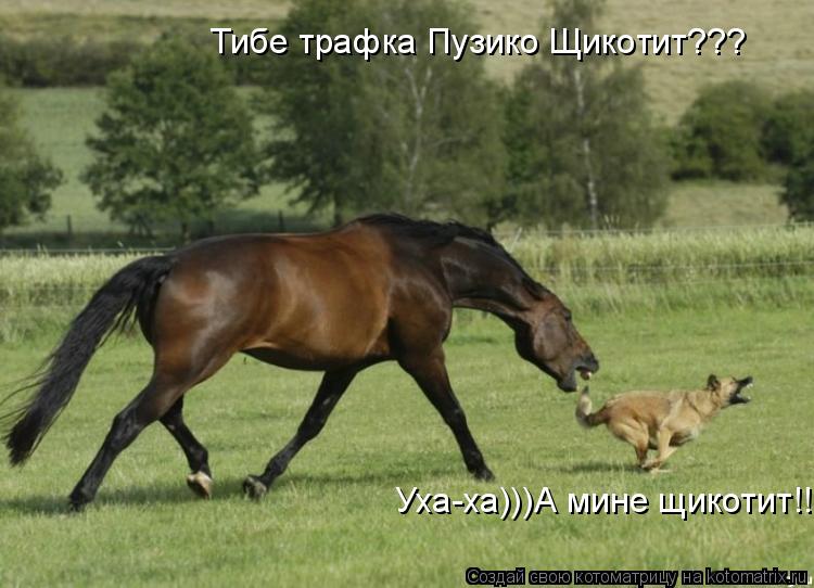 Котоматрица: Тибе трафка Пузико Щикотит??? Уха-ха)))А мине щикотит!!