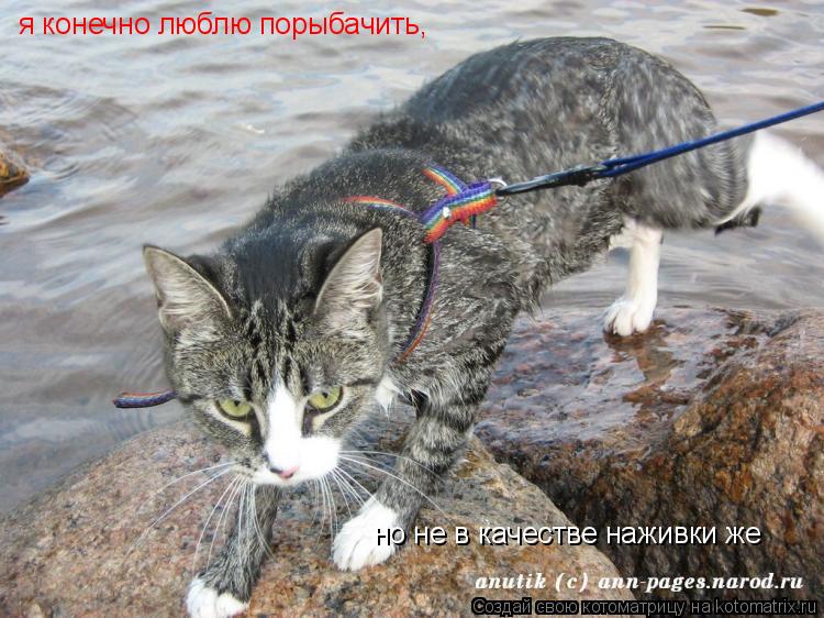 я конечно люблю порыбачить, но не в качестве наживки же... Котоматрица: я конечно люблю порыбачить, но не в качестве наживки же