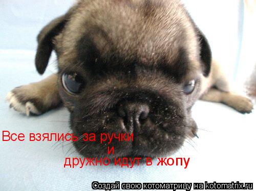 Котоматрица: Все взялись за ручки и дружно идут в жопу