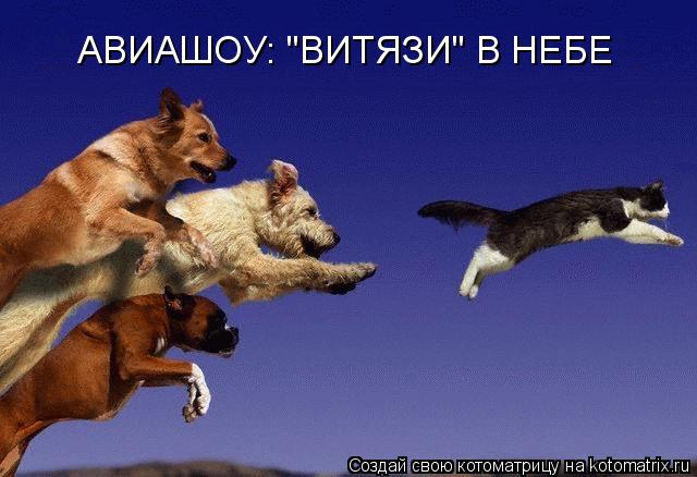 АВИАШОУ: "ВИТЯЗИ" В НЕБЕ... Котоматрица: АВИАШОУ: "ВИТЯЗИ" В НЕБЕ