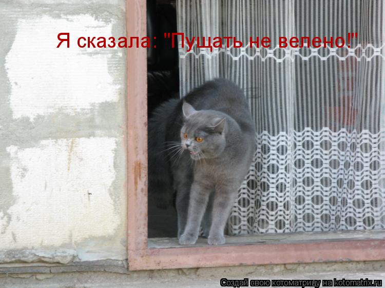 Я сказала: "Пущать не велено!"... Котоматрица: Я сказала: "Пущать не велено!"