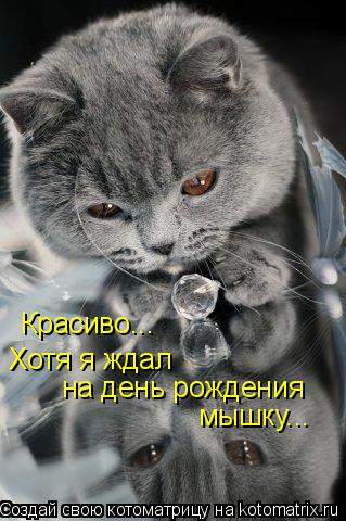 Красиво... Хотя я ждал на день рождения мышку...... Котоматрица: Красиво... Хотя я ждал на день рождения мышку...