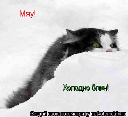 Мяу! Холодно блин!... Котоматрица: Мяу! Холодно блин!