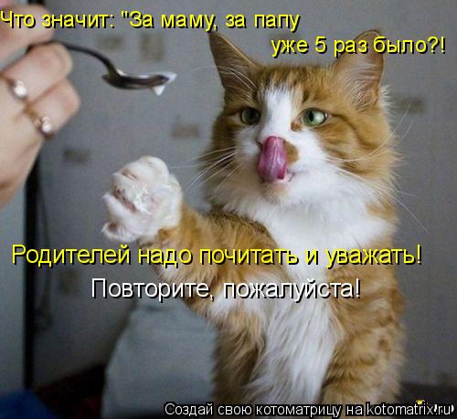 Что значит: "За маму, за папу уже 5 раз было?! Родителей надо почитать и уважать! Повторите, пожалуй... Котоматрица: Что значит: "За маму, за папу уже 5 раз было?! Родителей надо почитать и уважать! Повторите, пожалуйста!