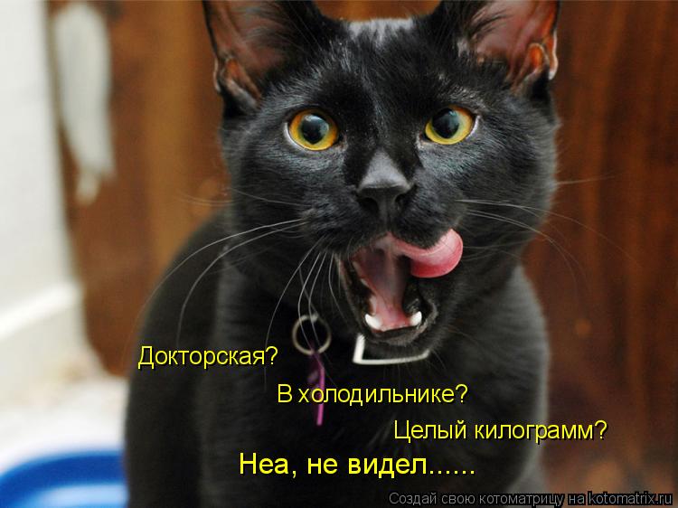 В холодильнике? Докторская? Целый килограмм? Неа, не видел......... Котоматрица: В холодильнике? Докторская? Целый килограмм? Неа, не видел......