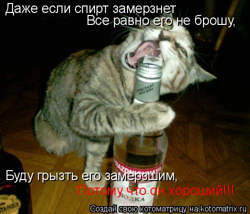 Котоматрица: Даже если спирт замерзнет Все равно его не брошу, Буду грызть его замерзшим, Потому что он хороший!!!