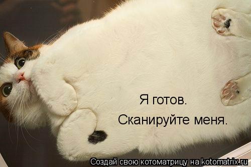 Котоматрица: Сканируйте меня. Я готов.