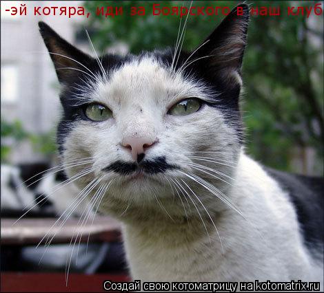 Котоматрица: -эй котяра, иди за Боярского в наш клуб!