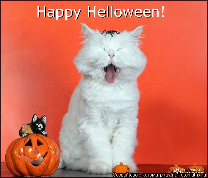 Котоматрица: Happy Helloween!