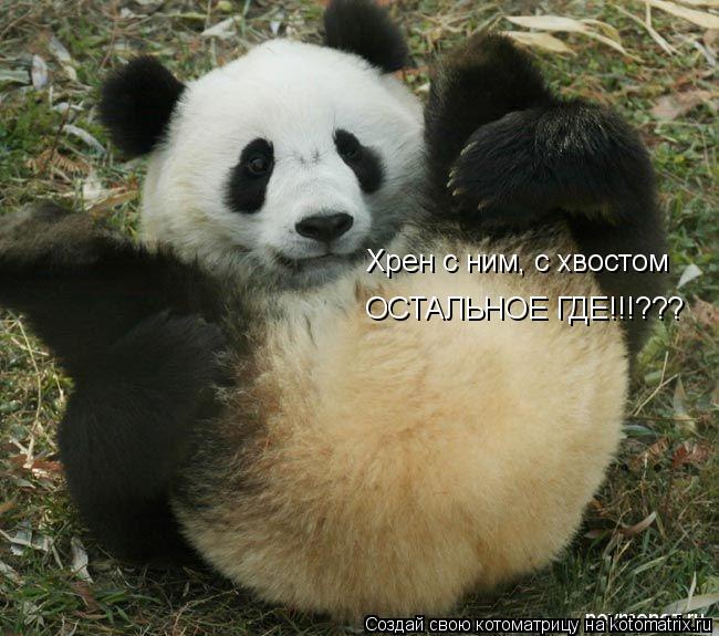 Хрен с ним, с хвостом ОСТАЛЬНОЕ ГДЕ!!!???... Котоматрица: Хрен с ним, с хвостом ОСТАЛЬНОЕ ГДЕ!!!???