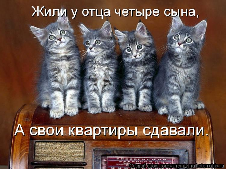 Жили у отца четыре сына, А свои квартиры сдавали.... Котоматрица: Жили у отца четыре сына, А свои квартиры сдавали.