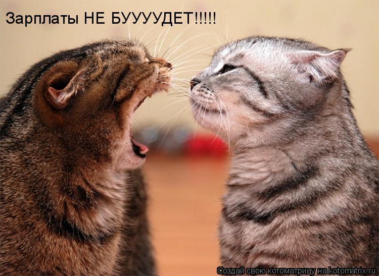 Зарплаты НЕ БУУУУДЕТ!!!!!... Котоматрица: Зарплаты НЕ БУУУУДЕТ!!!!!