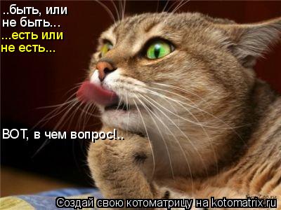 ..быть, или не быть... ...есть или не есть... ВОТ, в чем вопрос!..... Котоматрица: ..быть, или не быть... ...есть или не есть... ВОТ, в чем вопрос!..