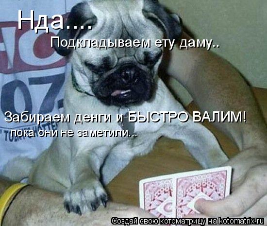 Нда.... Подкладываем ету даму.. Забираем денги и БЫСТРО ВАЛИМ! пока они не заметили...... Котоматрица: Нда.... Подкладываем ету даму.. Забираем денги и БЫСТРО ВАЛИМ! пока они не заметили...
