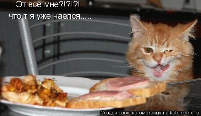 Котоматрица: Эт все мне?!?!?! что т я уже наелся.....