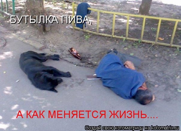 Котоматрица: БУТЫЛКА ПИВА, А КАК МЕНЯЕТСЯ ЖИЗНЬ....