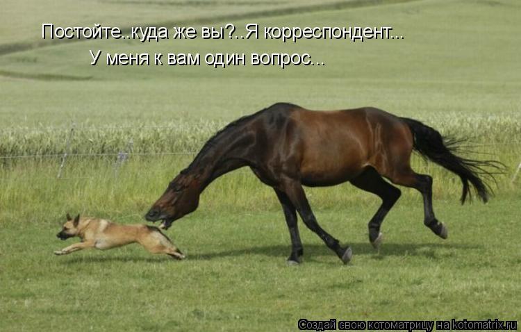 Котоматрица: Постойте..куда же вы?..Я корреспондент... У меня к вам один вопрос...