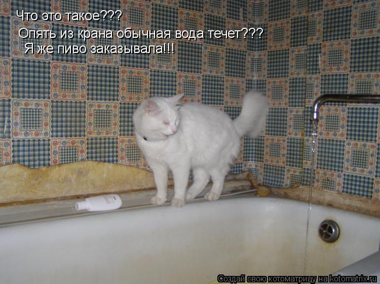 Котоматрица: Что это такое??? Опять из крана обычная вода течет??? Я же пиво заказывала!!!