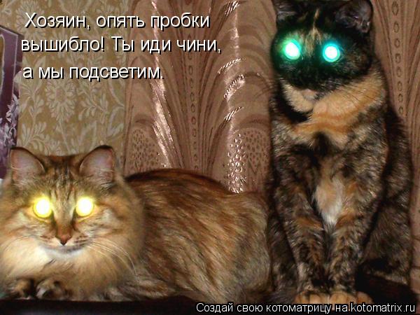 Хозяин, опять пробки вышибло! Ты иди чини, а мы подсветим.... Котоматрица: Хозяин, опять пробки вышибло! Ты иди чини, а мы подсветим.