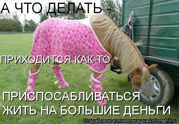 ЖИТЬ НА БОЛЬШИЕ ДЕНЬГИ ПРИХОДИТСЯ КАК-ТО ПРИСПОСАБЛИВАТЬСЯ А ЧТО ДЕЛАТЬ -... Котоматрица: ЖИТЬ НА БОЛЬШИЕ ДЕНЬГИ ПРИХОДИТСЯ КАК-ТО ПРИСПОСАБЛИВАТЬСЯ А ЧТО ДЕЛАТЬ -