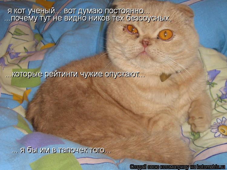 я кот ученый... вот думаю постоянно... ...почему тут не видно ников тех безсоусных, ...которые рейти... Котоматрица: я кот ученый... вот думаю постоянно... ...почему тут не видно ников тех безсоусных, ...которые рейтинги чужие опускают... ... я бы им в тапочек того
